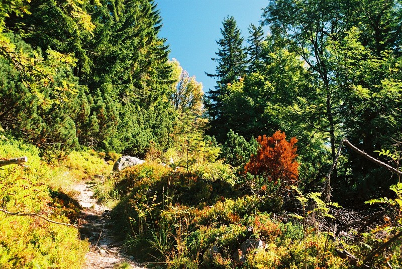 img00002.jpg