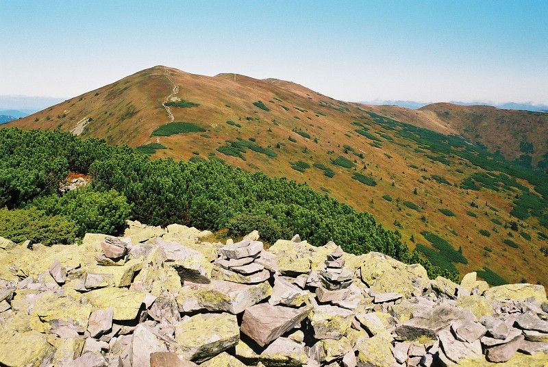 img00016.jpg