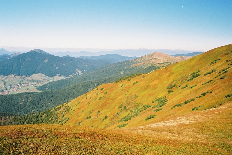 img00020.jpg