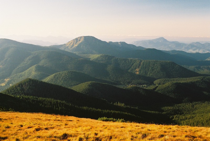 img00025.jpg
