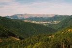 img00001.jpg