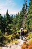 img00003.jpg