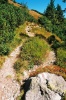 img00009.jpg