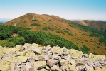 img00016.jpg