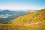 img00020.jpg