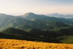 img00025.jpg