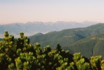 img00027.jpg
