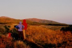 img00028.jpg