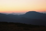img00029.jpg