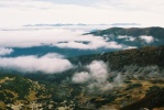 img00035.jpg