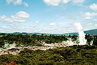 Whakarewarewa Thermal Area