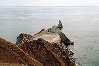 Cape Kidnappers - Mys únosců