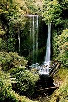 Korokoro Falls, Nrodn park Te Urewera