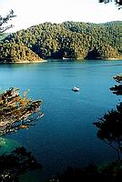 Lake Waikaremoana - zátiší