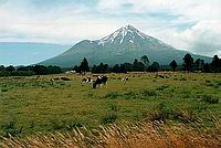 Mt. Egmont (2512 m)