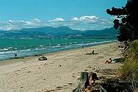 Pláž na Rabbit Island - Tasman Bay
