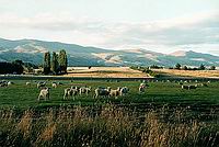 Krajina v Central Otago