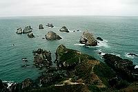 Nugget Point - na konci světa