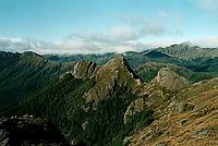 Kahurangi National Park