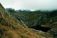 Adelaide Tarn