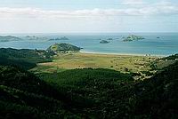 Matauri Bay