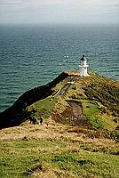 Majk na mysu Cape Reinga, Northland