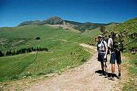 Vstup na Hikurangi (1754 m)