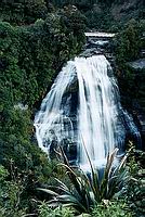 Mokau Falls, Nrodn park Te Urewera