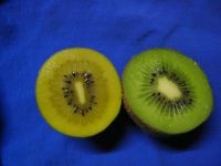 Zlaté vs. zelené kiwi