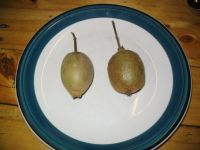 Zlaté vs. zelené kiwi
